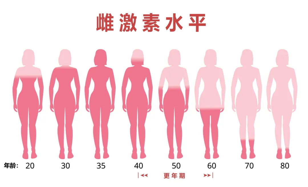 激素对女性一生不同阶段的影响！