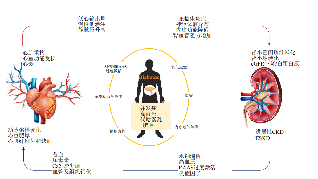 5个生活方式干预，心脏代谢风险降一半！