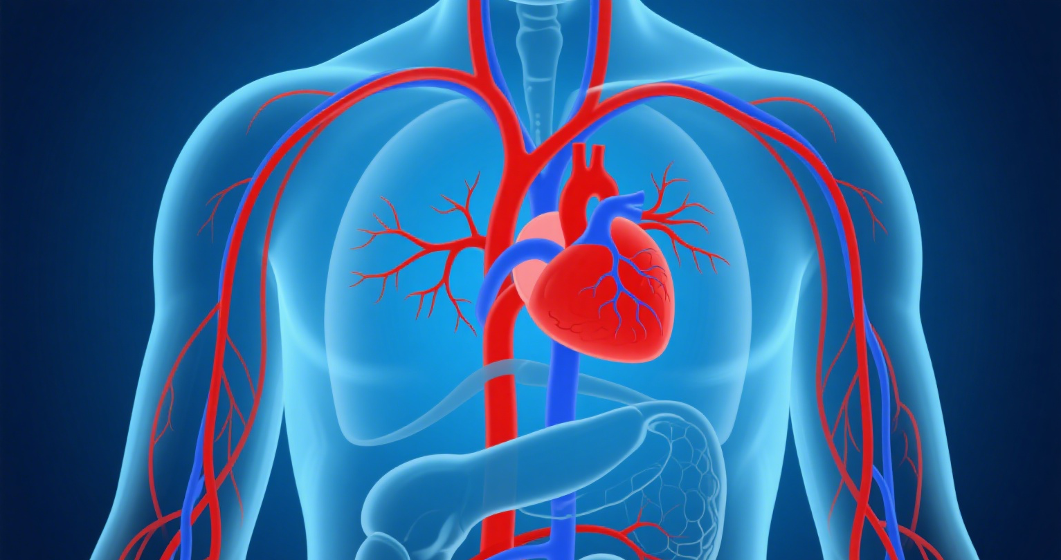 健康血液，活力人生：了解血液成分的重要性