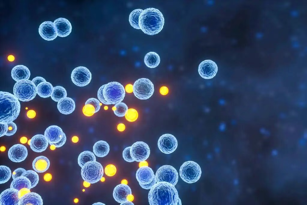 「适度抗炎」才能长寿！身体有没有炎症看4点