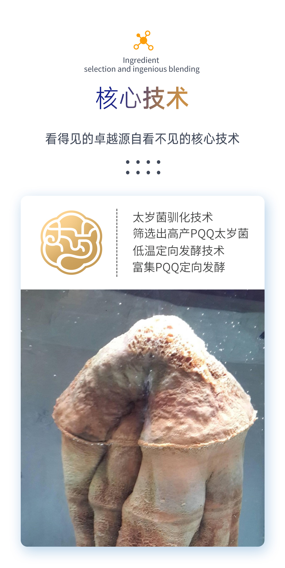 1775790788273-pa7i.jpg